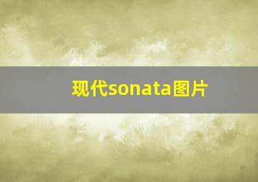 现代sonata图片