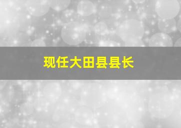 现任大田县县长