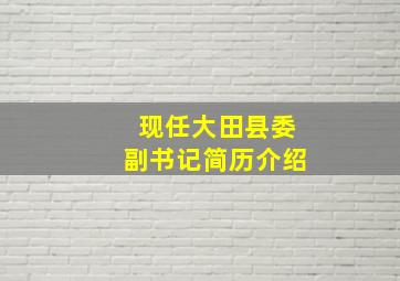 现任大田县委副书记简历介绍