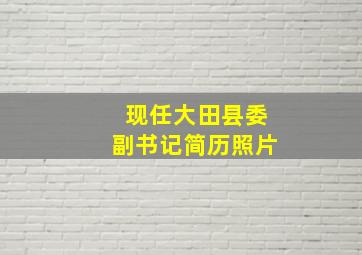 现任大田县委副书记简历照片