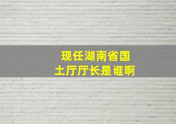 现任湖南省国土厅厅长是谁啊