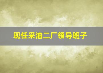 现任采油二厂领导班子