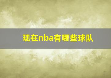 现在nba有哪些球队