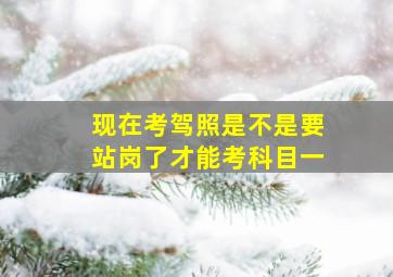 现在考驾照是不是要站岗了才能考科目一