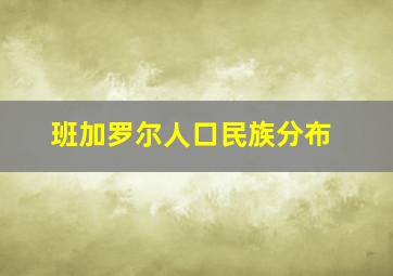 班加罗尔人口民族分布