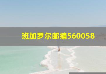 班加罗尔邮编560058