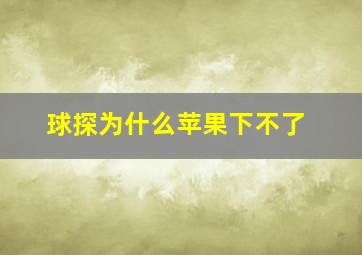 球探为什么苹果下不了