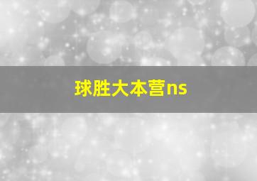 球胜大本营ns