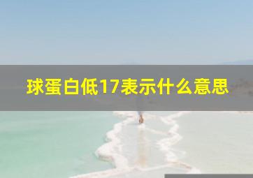 球蛋白低17表示什么意思