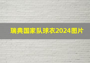 瑞典国家队球衣2024图片