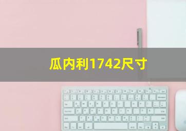 瓜内利1742尺寸