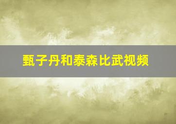 甄子丹和泰森比武视频