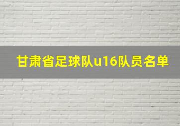 甘肃省足球队u16队员名单