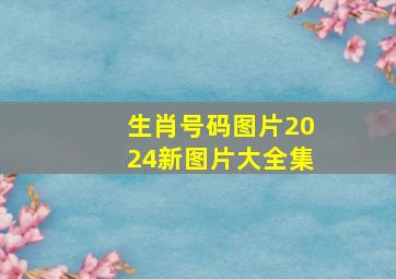 生肖号码图片2024新图片大全集