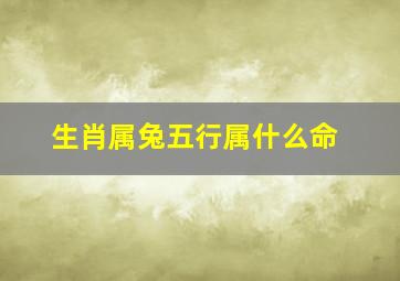 生肖属兔五行属什么命