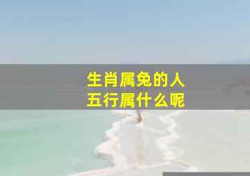 生肖属兔的人五行属什么呢