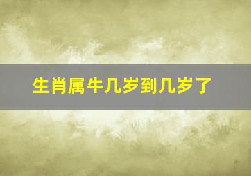 生肖属牛几岁到几岁了