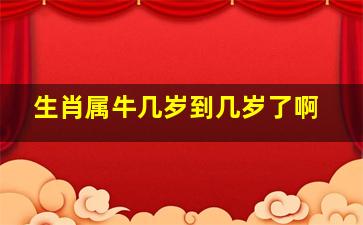 生肖属牛几岁到几岁了啊