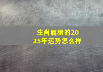 生肖属猪的2025年运势怎么样