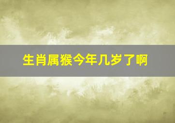 生肖属猴今年几岁了啊