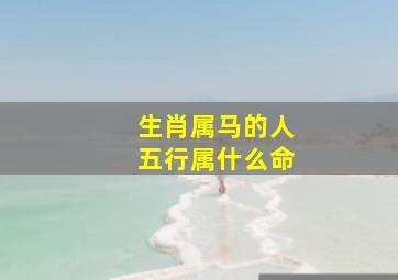 生肖属马的人五行属什么命