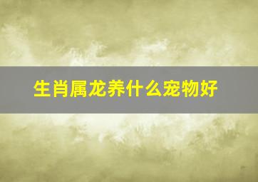 生肖属龙养什么宠物好