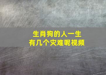 生肖狗的人一生有几个灾难呢视频