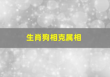 生肖狗相克属相