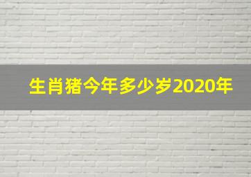 生肖猪今年多少岁2020年