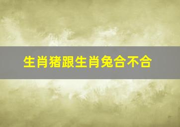 生肖猪跟生肖兔合不合