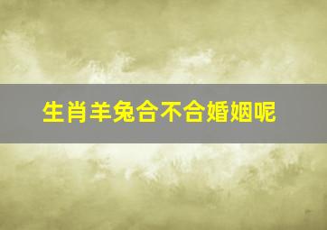 生肖羊兔合不合婚姻呢