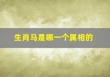 生肖马是哪一个属相的