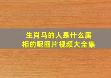 生肖马的人是什么属相的呢图片视频大全集