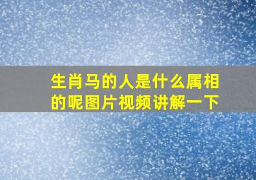 生肖马的人是什么属相的呢图片视频讲解一下