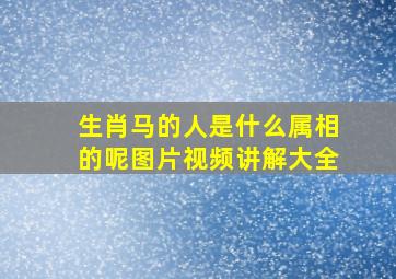 生肖马的人是什么属相的呢图片视频讲解大全