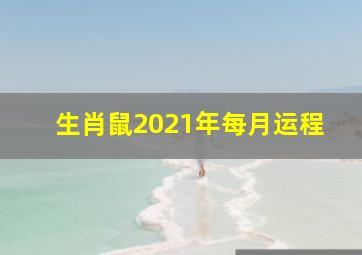 生肖鼠2021年每月运程