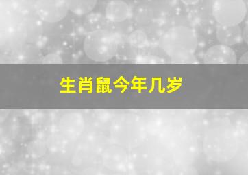 生肖鼠今年几岁