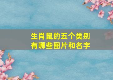 生肖鼠的五个类别有哪些图片和名字