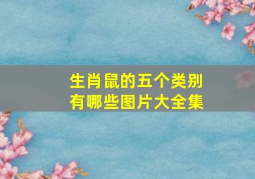 生肖鼠的五个类别有哪些图片大全集