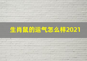 生肖鼠的运气怎么样2021