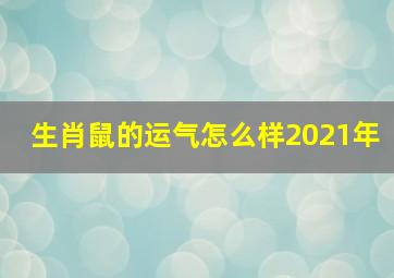 生肖鼠的运气怎么样2021年