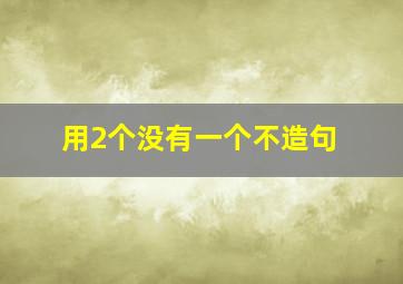 用2个没有一个不造句