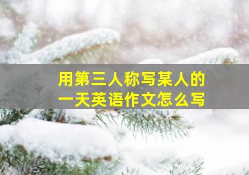 用第三人称写某人的一天英语作文怎么写