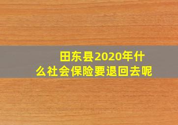 田东县2020年什么社会保险要退回去呢