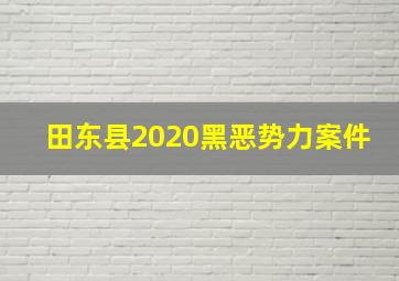 田东县2020黑恶势力案件