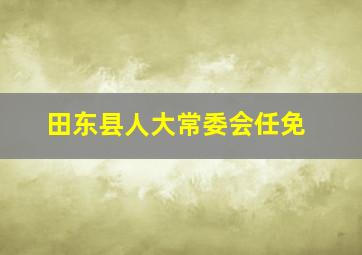 田东县人大常委会任免