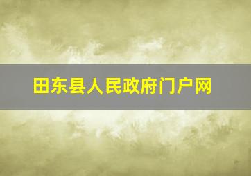 田东县人民政府门户网