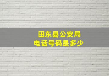 田东县公安局电话号码是多少