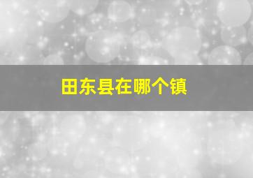 田东县在哪个镇