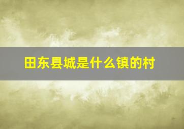 田东县城是什么镇的村